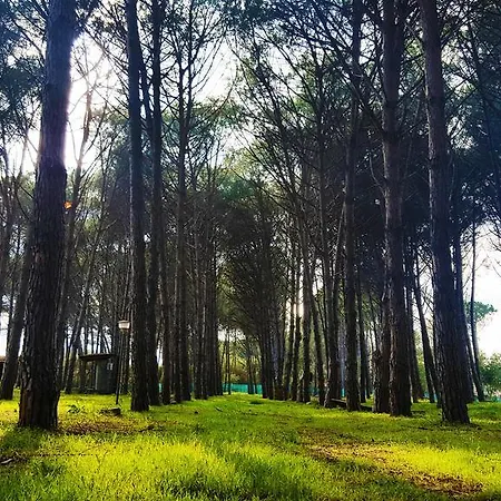 Campsite Il Grecale
