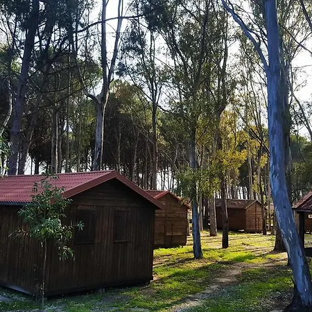 Il Grecale Campsite Sellia Marina